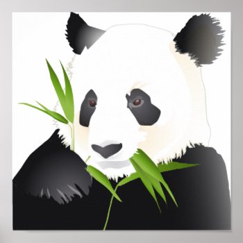Panda Bear Poster by bonfireanimals at Zazzle