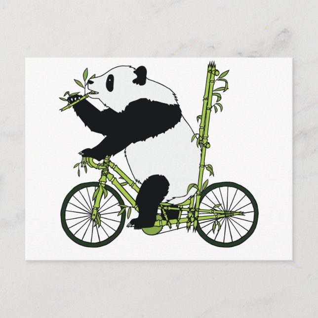 Panda Bear Riding Bamboo Bike Postcard (Front)
