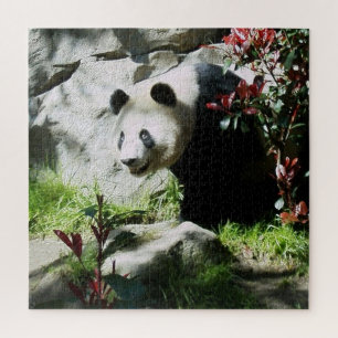 Panda Bear Smile Jigsaw Puzzle