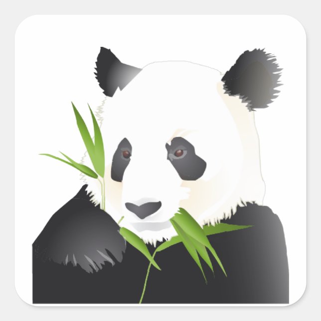 Panda Bear Square Sticker (Front)