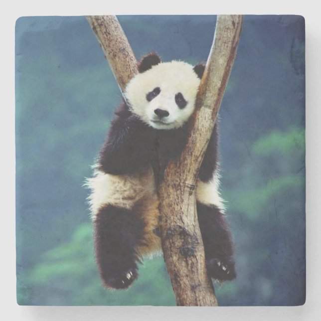 Panda Bear Stone Coaster (Front)