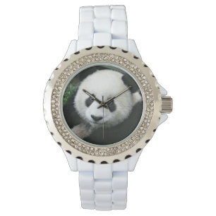 Panda Bear Watch