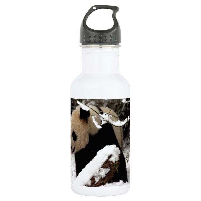 Panda Bear Water Bottle (Front)
