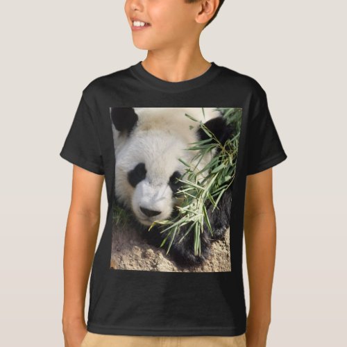 Panda Bear  Zoo Atlanta T_Shirt