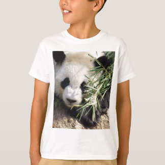 Panda Bear @ Zoo Atlanta T-Shirt