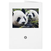 Panda Bears Cards (Back)
