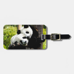 Panda Bears Luggage Tag