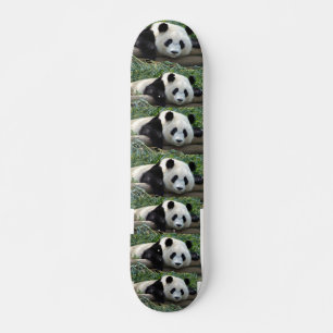 PANDA BEARS SKATEBOARD