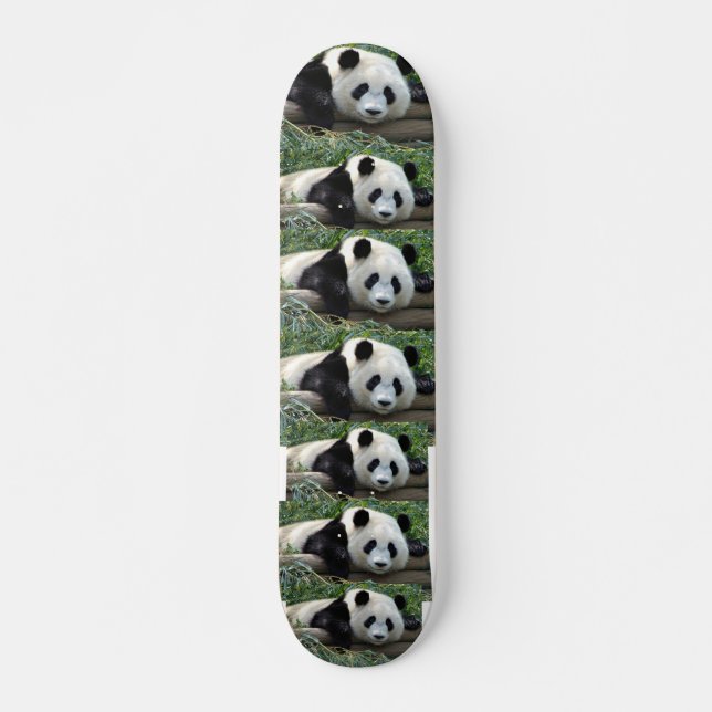 PANDA BEARS SKATEBOARD (Front)
