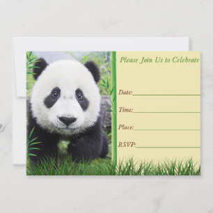 Panda birthday invitation