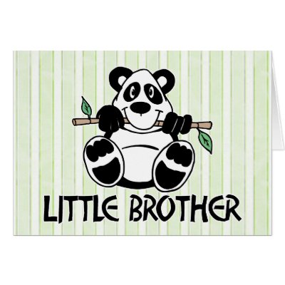 panda_boy_little_brother_card-p137327410151330219qdoq_400.jpg