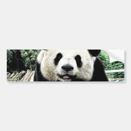 Panda Bumper Sticker