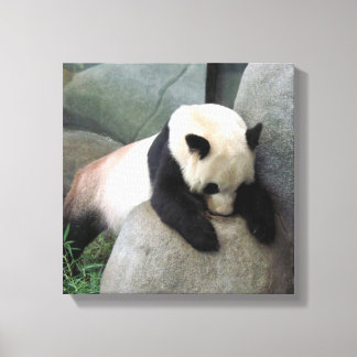 Panda Canvas Print