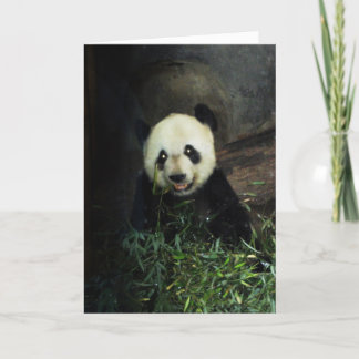 Panda Card