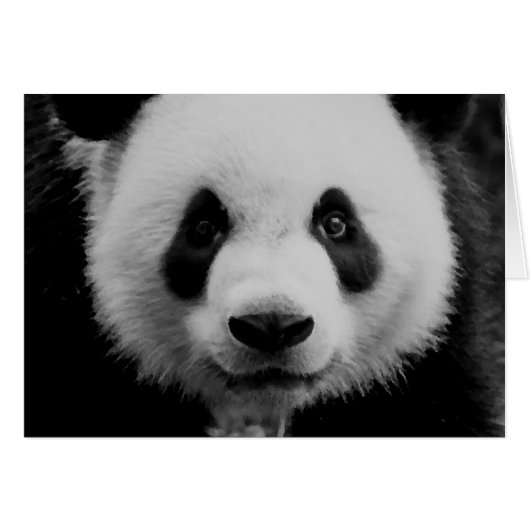 Panda Cards (Front Horizontal)