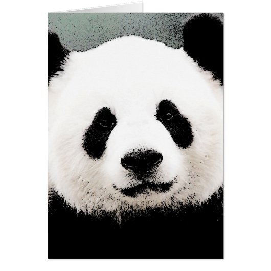 Panda Cards (Front)