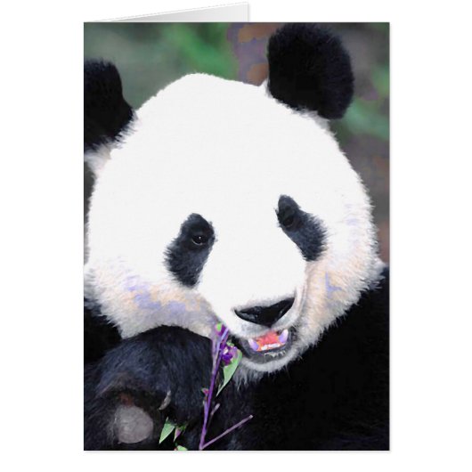 Panda Cards (Front)