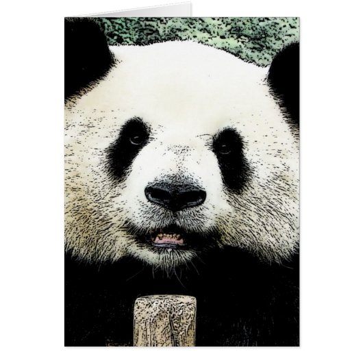 Panda Cards (Front)