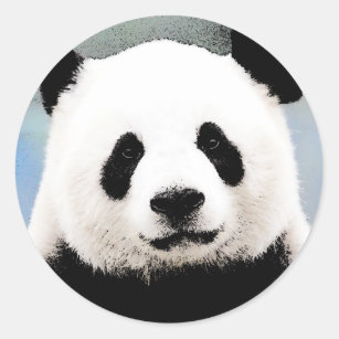 Panda Classic Round Sticker