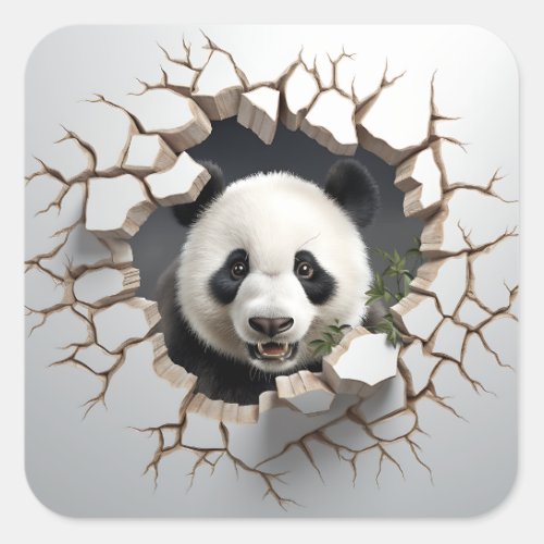 Panda Cracked Hole Art  Panda Smashed Wall 3D Square Sticker