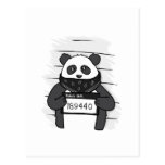 Panda criminal. Police banner. Arrest photo Postcard