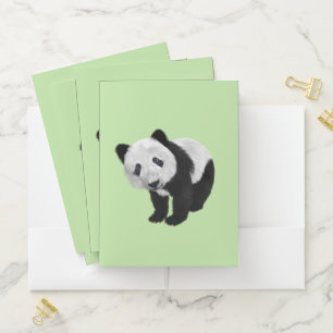 Panda Cub Green Pocket Folder