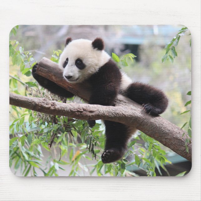 Panda Cub Mouse Pad (Front)