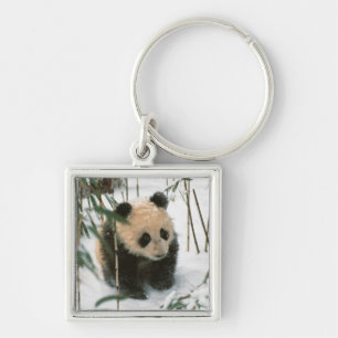 Panda cub on snow, Wolong, Sichuan, China Keychain