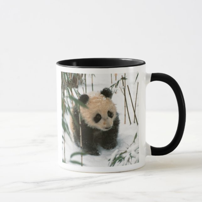 Panda cub on snow, Wolong, Sichuan, China Mug (Right)