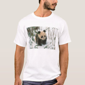 Panda cub on snow, Wolong, Sichuan, China T-Shirt