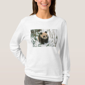 Panda cub on snow, Wolong, Sichuan, China T-Shirt