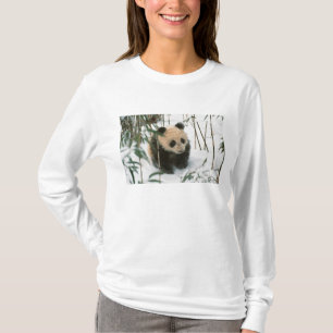 Panda cub on snow, Wolong, Sichuan, China T-Shirt