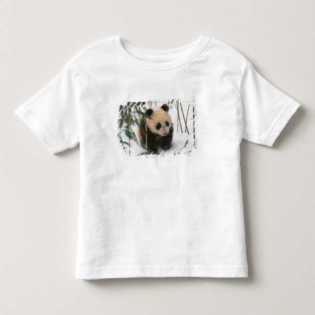 Panda cub on snow, Wolong, Sichuan, China Toddler T-shirt (Front)