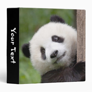 Panda cub painting binder