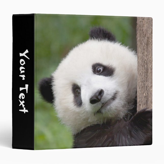 Panda cub painting binder (Front/Spine)
