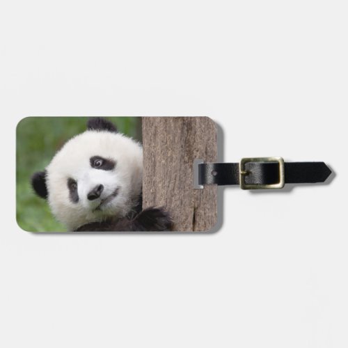 Panda cub painting luggage tag