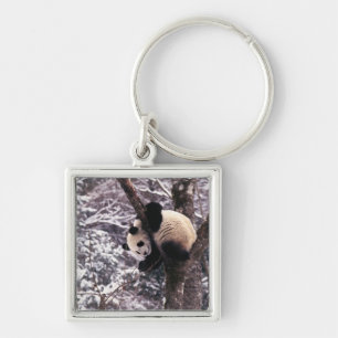 Panda cub playing on tree covered with snow, keychain