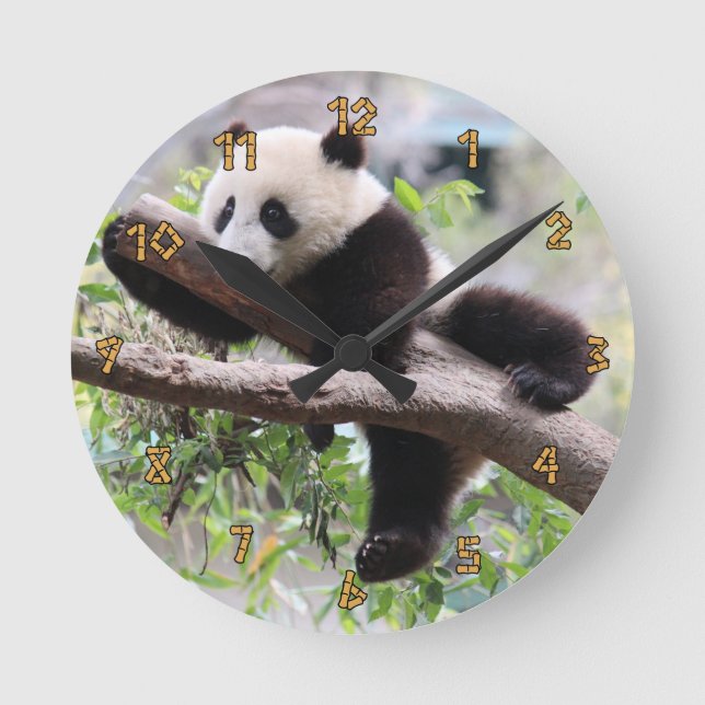 Panda Cub Relaxing In a Tree Round Clock (Front)