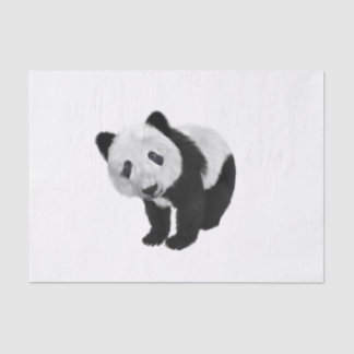 Panda Cub  Tissue Paper
