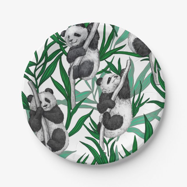 Panda cubs on paper plates (Front)
