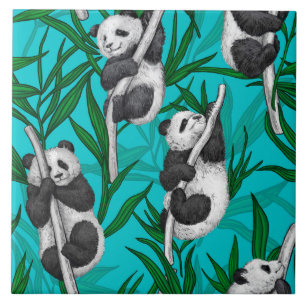 Panda cubs on turquoise ceramic tile