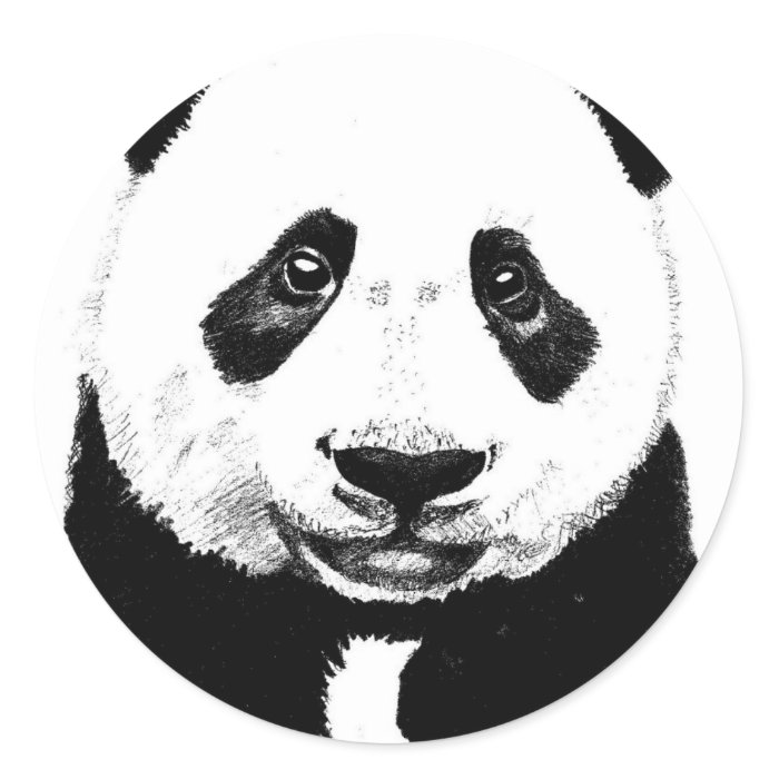 Panda drawing sticker