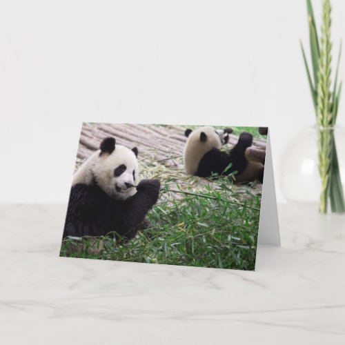 Panda Dream Blank Card