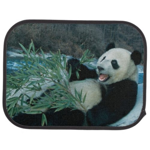 Panda eating bamboo by river bank Wolong 2 Car Mat