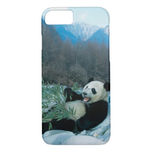 Panda eating bamboo by river bank Wolong 2 iPhone 87 Case