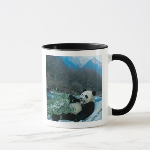 Panda eating bamboo by river bank Wolong 2 Mug