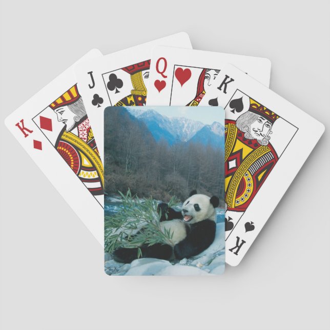 Panda eating bamboo by river bank, Wolong, 2 Poker Cards (Back)