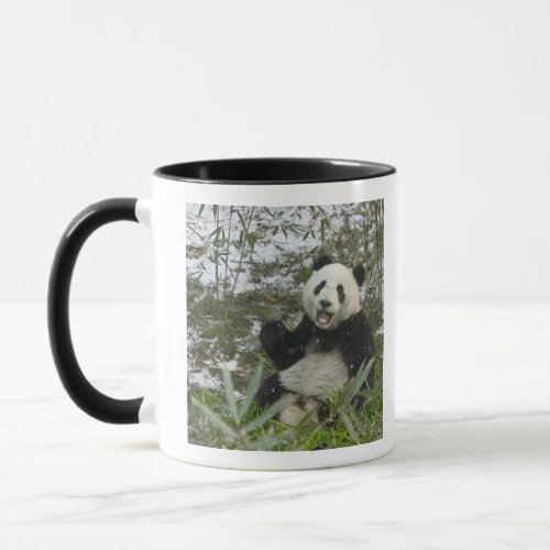 Panda eating bamboo on snow Wolong Sichuan 2 Mug