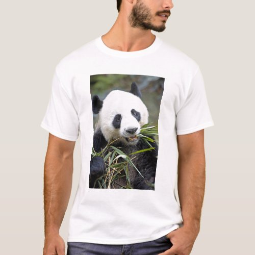 Panda eating bamboo shoots Alluropoda 2 T_Shirt