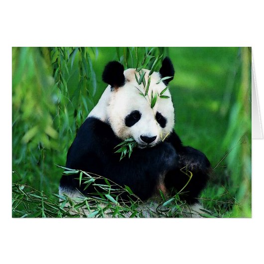 Panda Eating Leaves Cards (Front Horizontal)